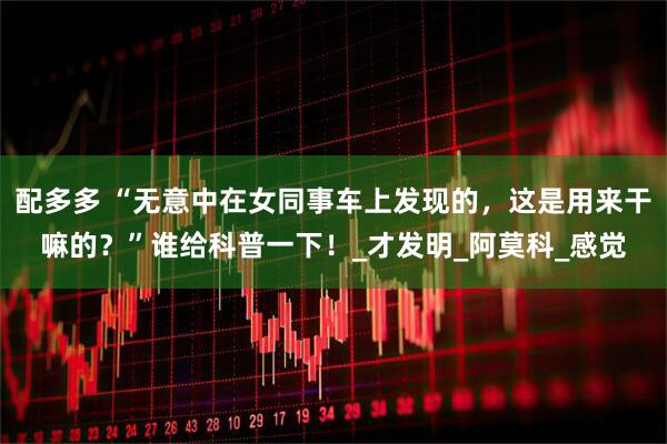 配多多 “无意中在女同事车上发现的，这是用来干嘛的？”谁给科普一下！_才发明_阿莫科_感觉