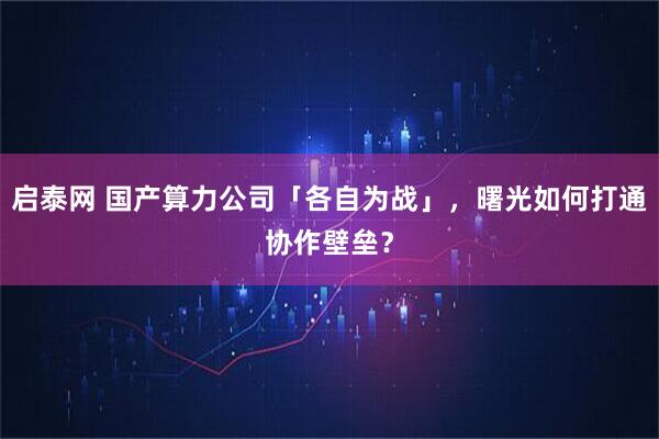 启泰网 国产算力公司「各自为战」，曙光如何打通协作壁垒？