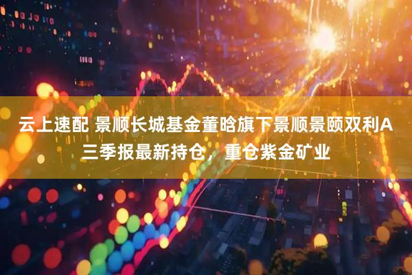 云上速配 景顺长城基金董晗旗下景顺景颐双利A三季报最新持仓，重仓紫金矿业